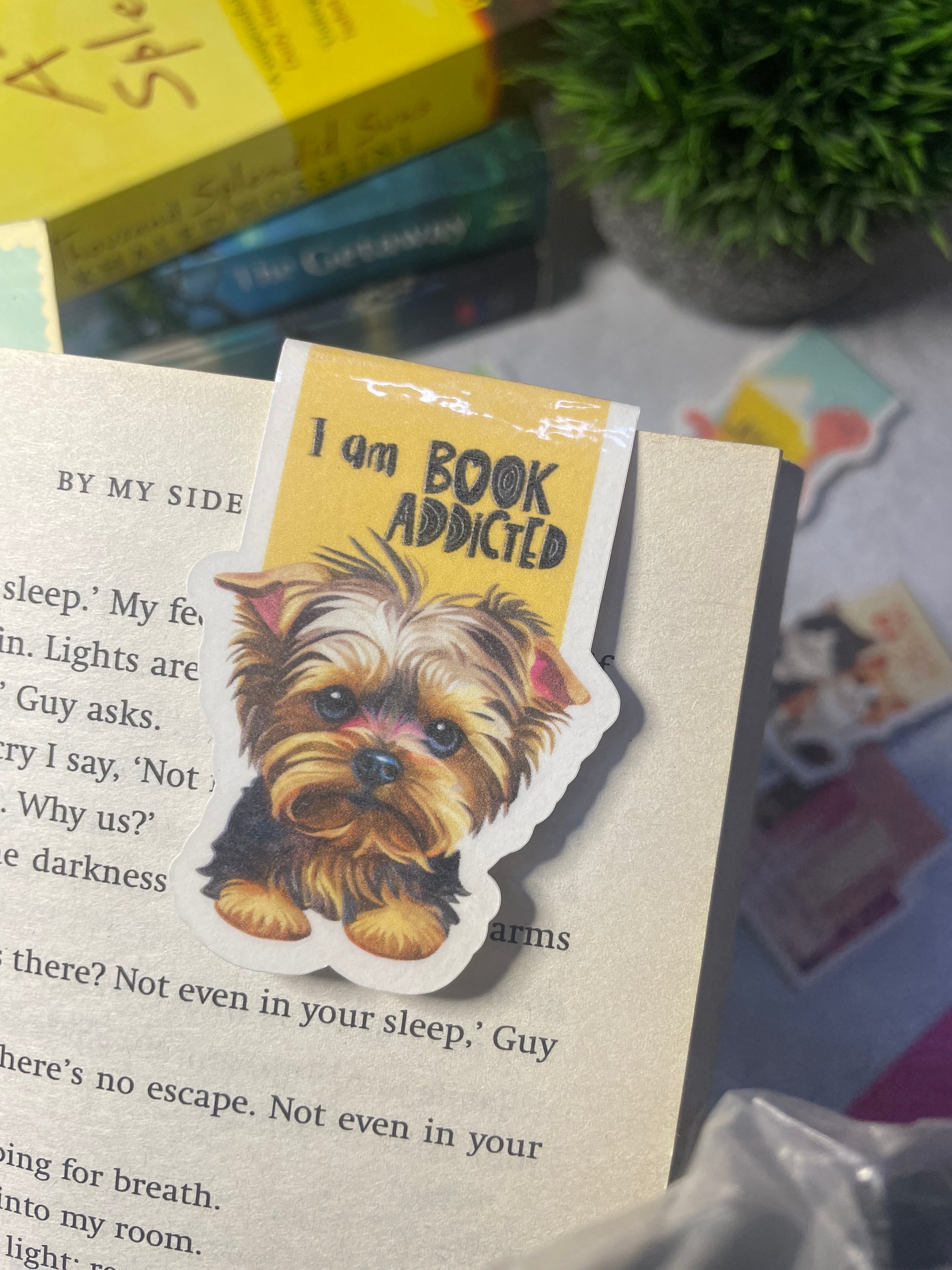 Magnetic bookmark