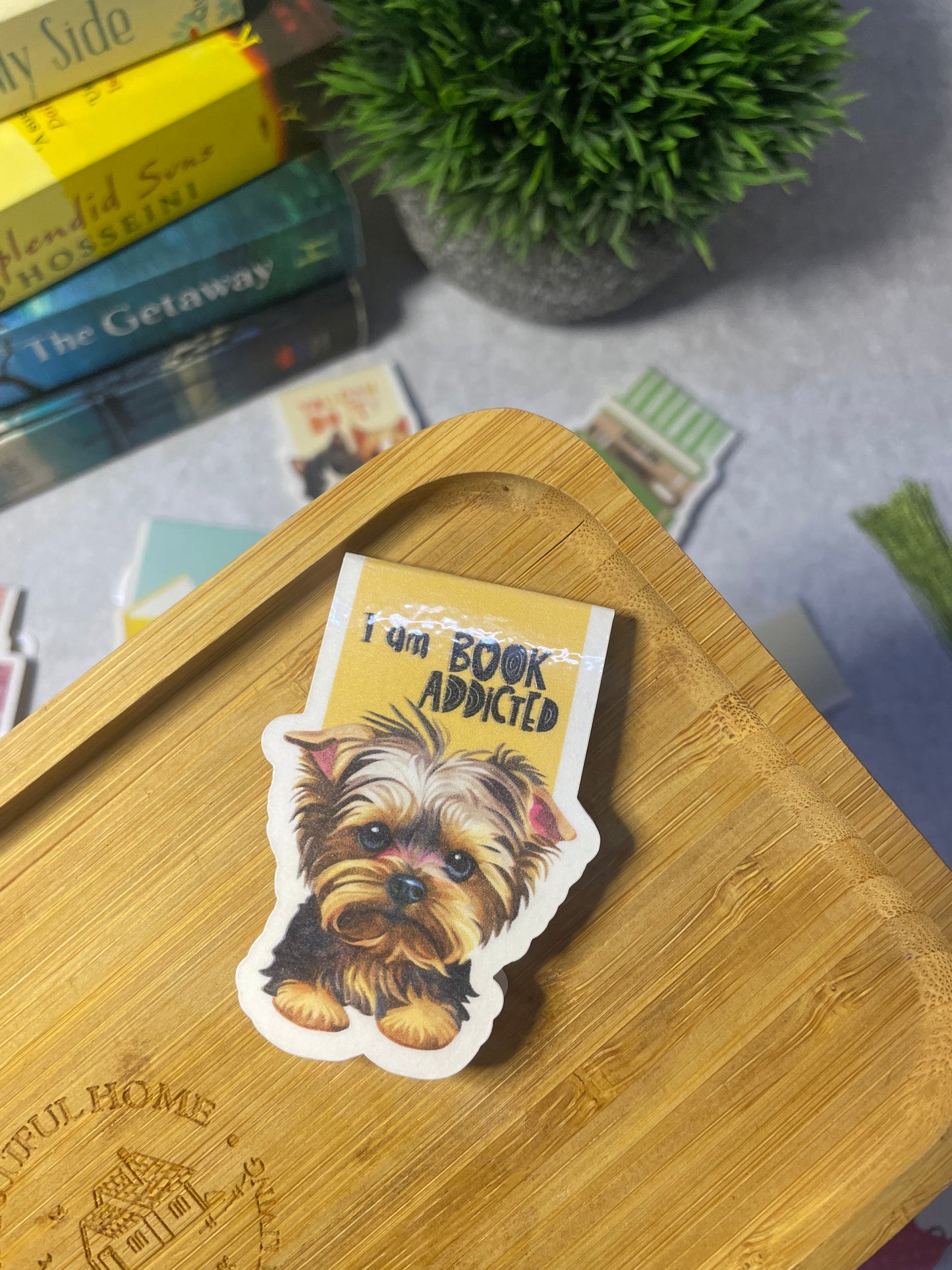 Magnetic bookmark