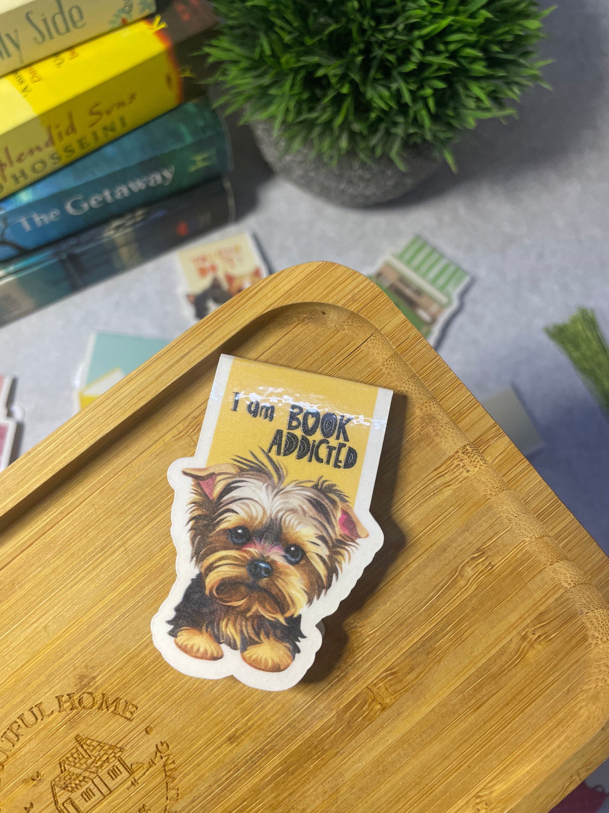 Magnetic bookmark