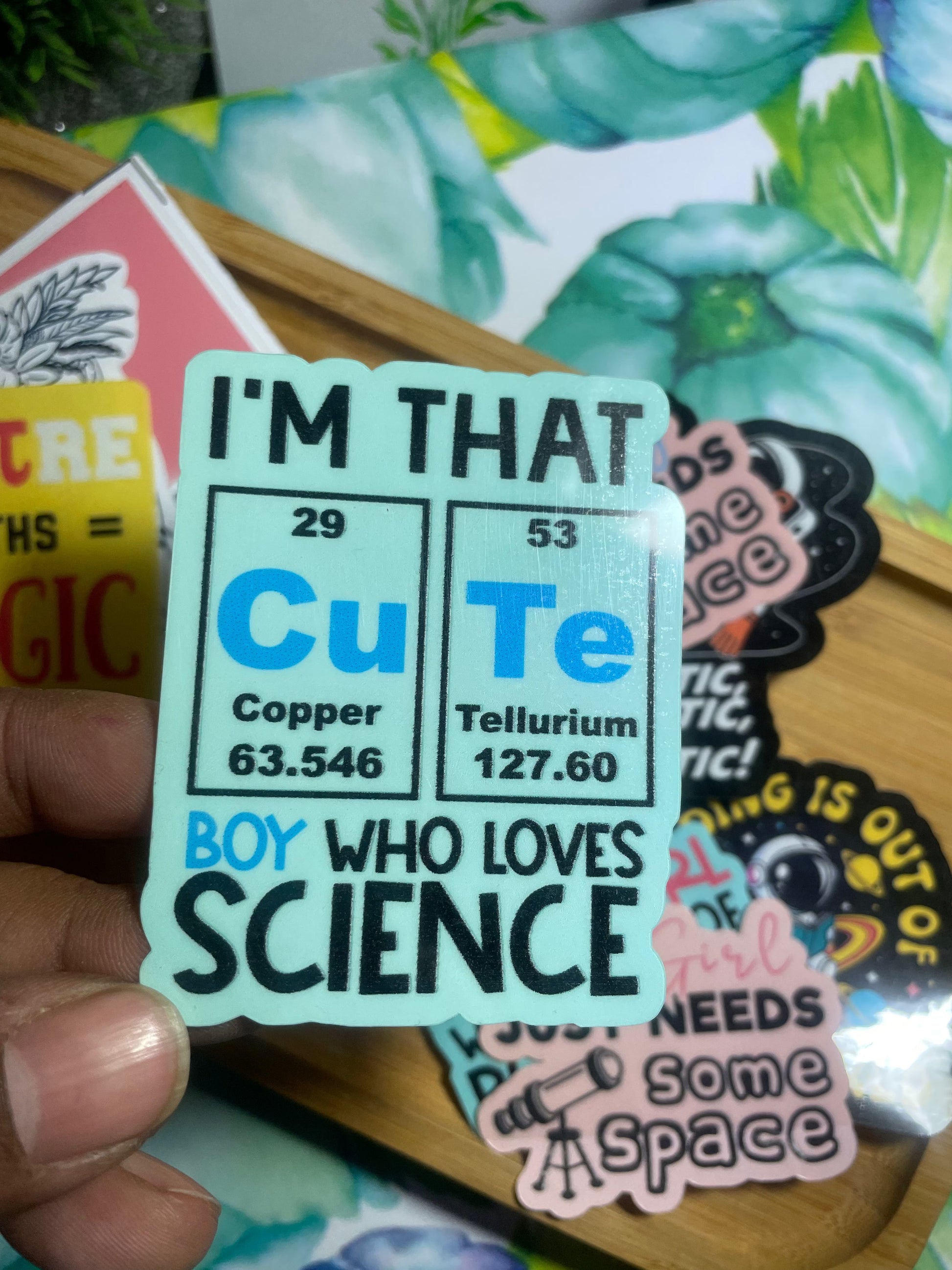 MYSTERY STICKER PACK — Set of 10 