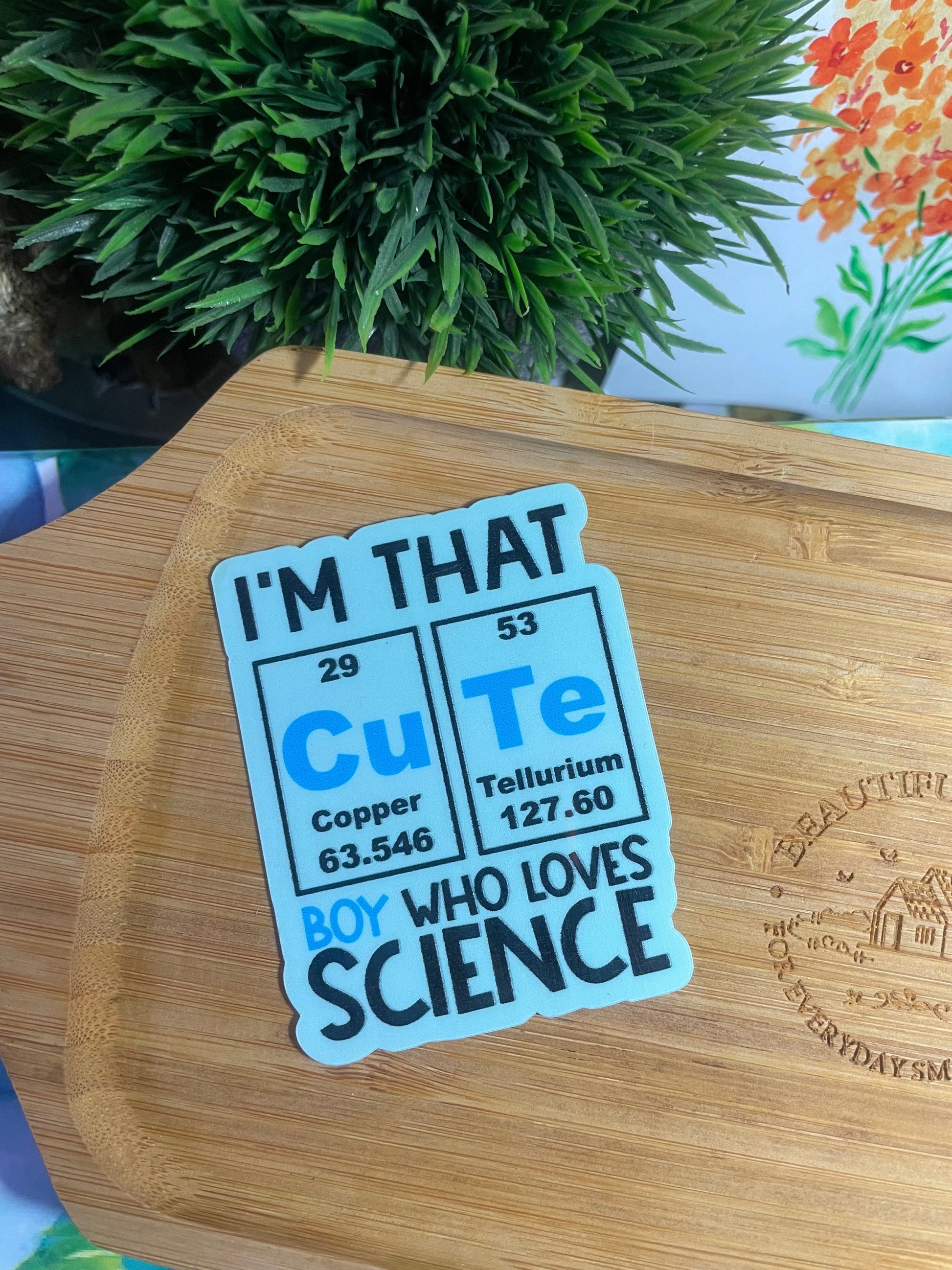 MYSTERY STICKER PACK — Set of 10 