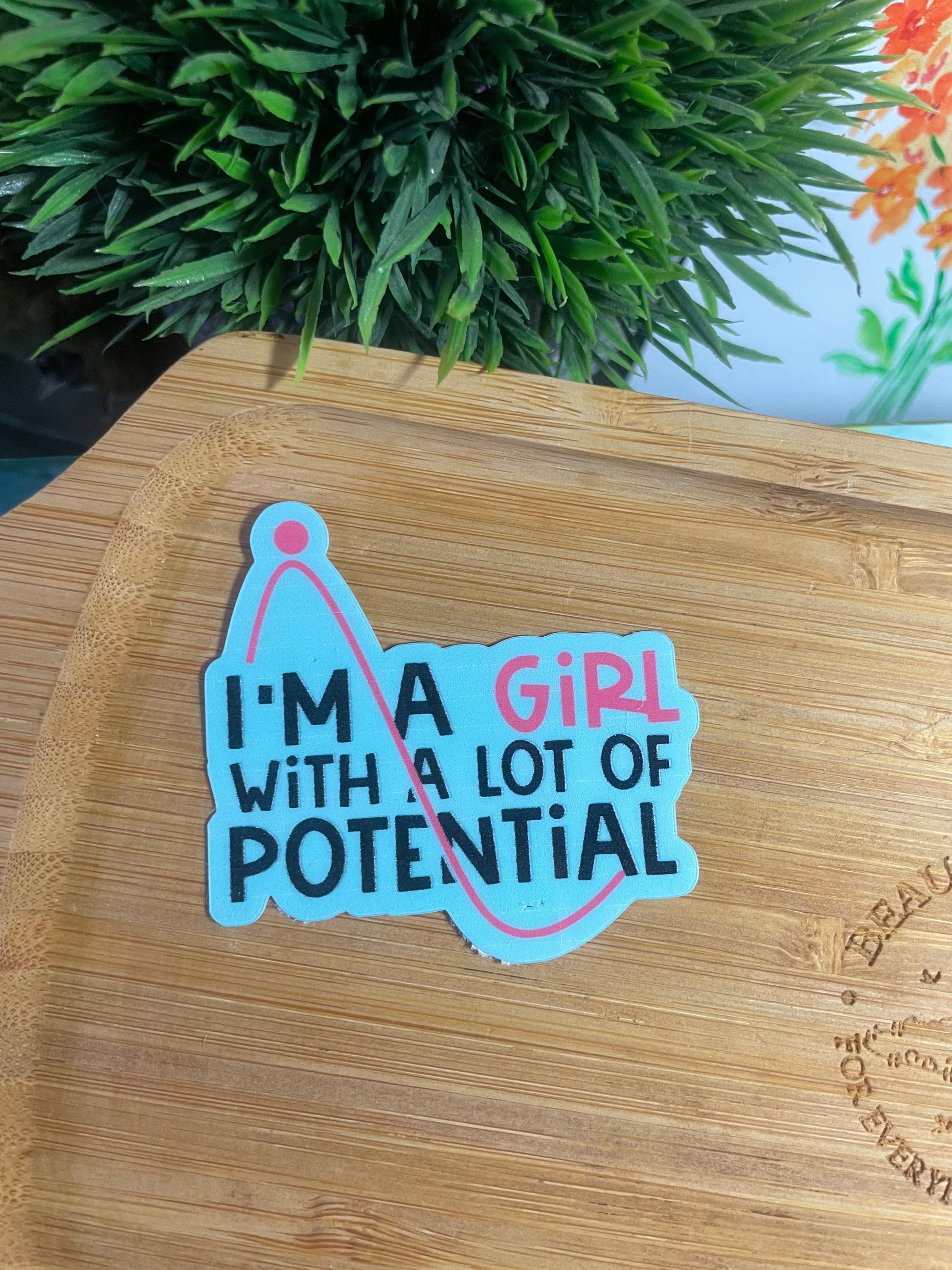 MYSTERY STICKER PACK — Set of 10 