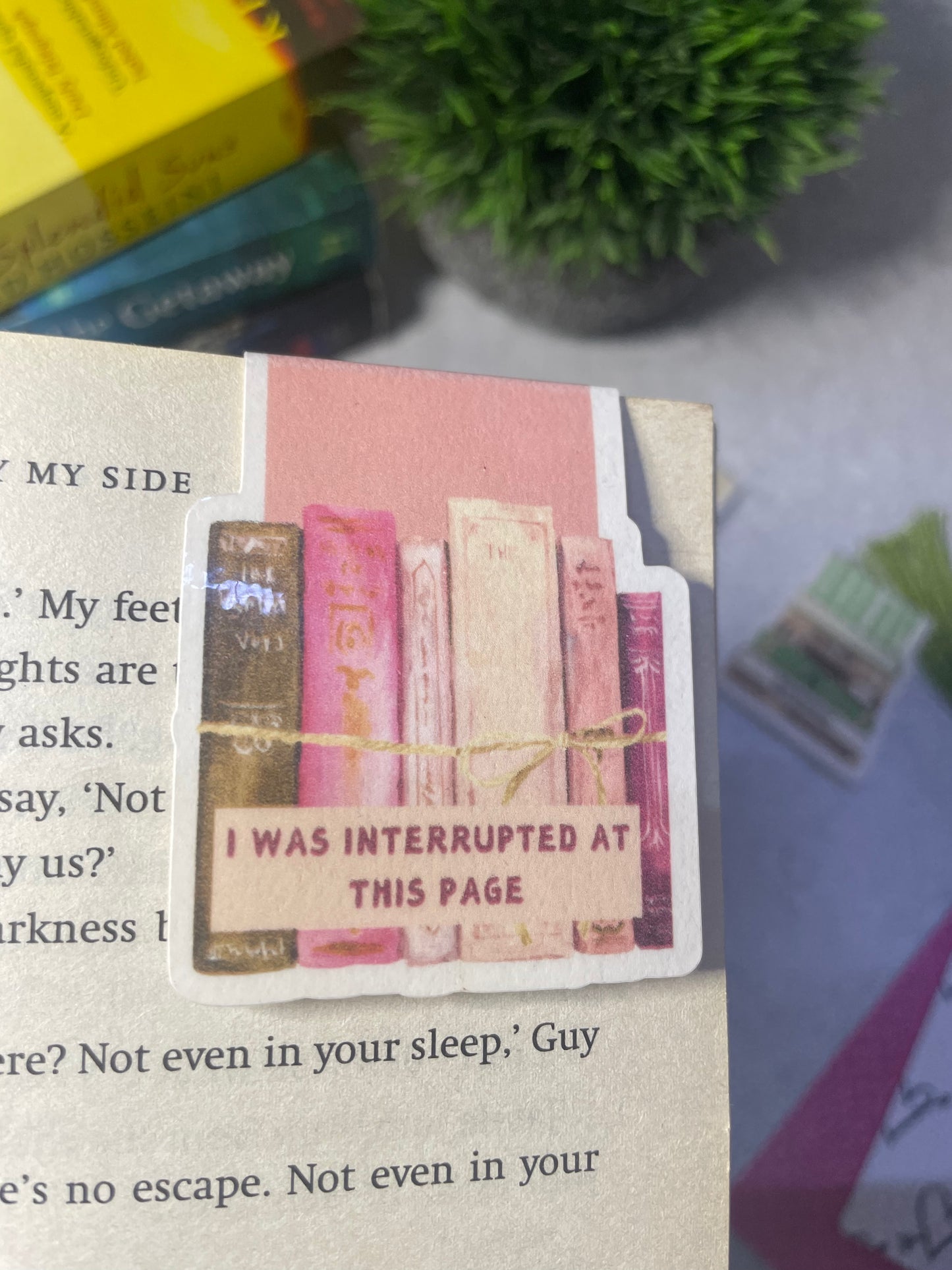Magnetic bookmarks