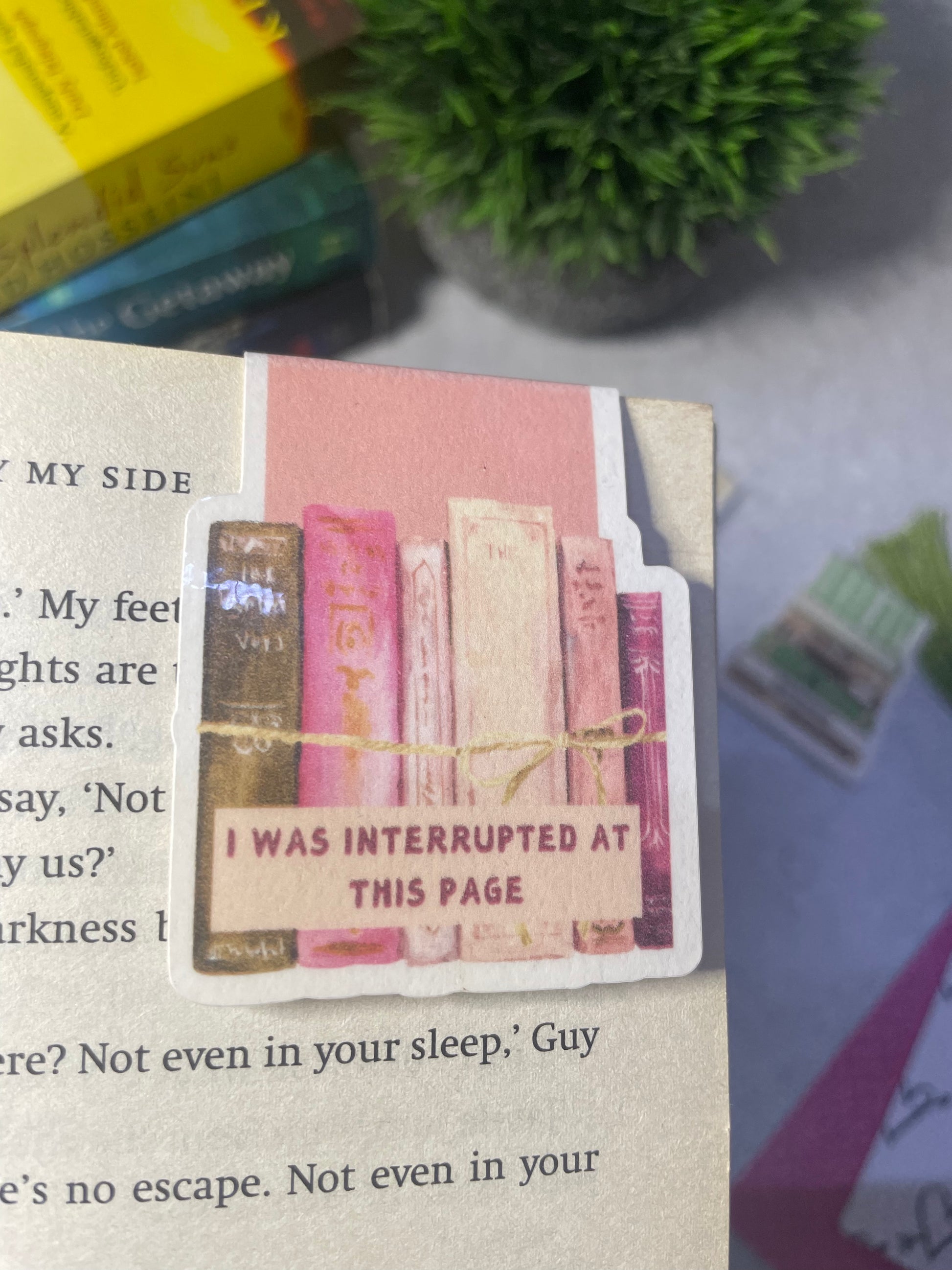 Magnetic bookmarks