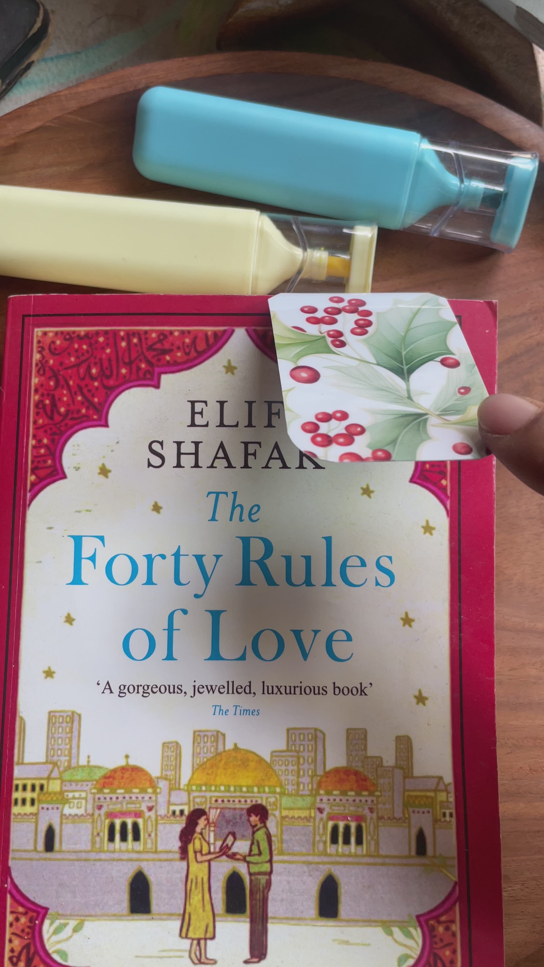 Christmas Magnetic Bookmark Set (Pack of 4)